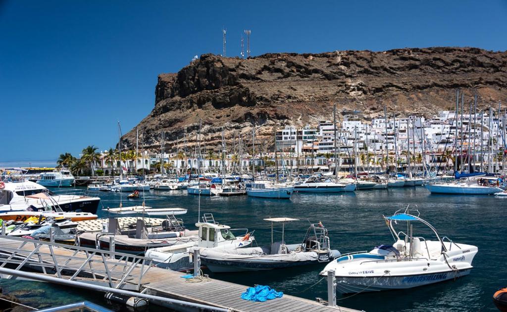 Apartamentos Las Palmeras Puerto De Mogan Kültér fotó
