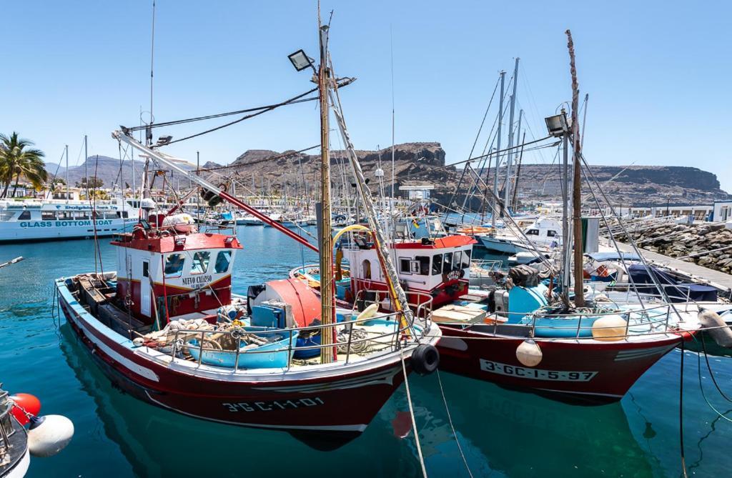 Apartamentos Las Palmeras Puerto De Mogan Kültér fotó